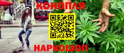 ECSTASY Гатчина