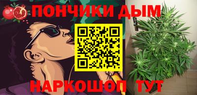 гидра Гай