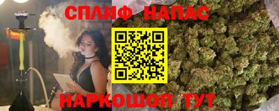 гидра Гай